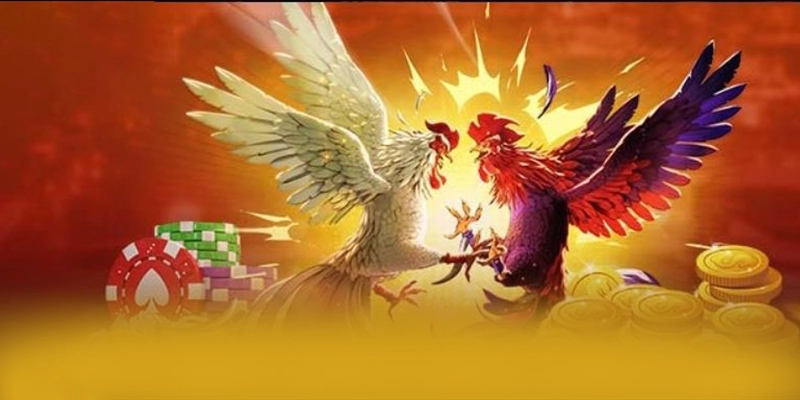 Khám phá thế giới của FAFA191 - Sảnh game an toàn tuyệt đối số 1 Việt Nam
Khám phá thế giới của FAFA191 - Sảnh game an toàn tuyệt đối số 1 Việt Nam