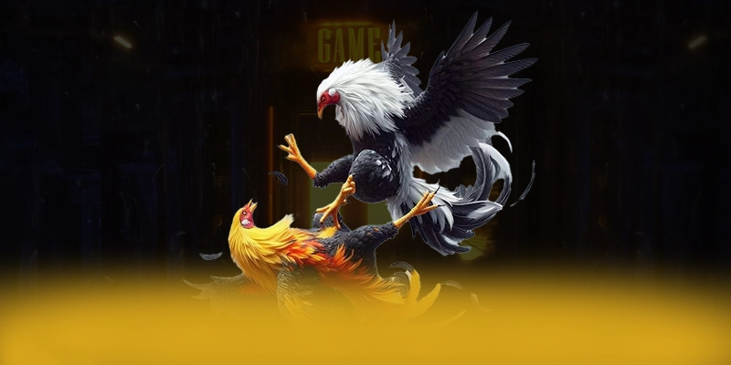 KKWIN - Cổng game minh bạch tại Việt Nam – Khám phá KKWIN KKWIN - Cổng game minh bạch tại Việt Nam – Khám phá KKWIN