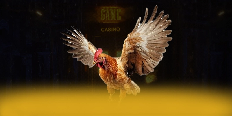 Trực Tiếp Bóng Đá - Cổng thể thao sở hữu hệ thống live betting đỉnh cao Trực Tiếp Bóng Đá - Cổng thể thao sở hữu hệ thống live betting đỉnh cao