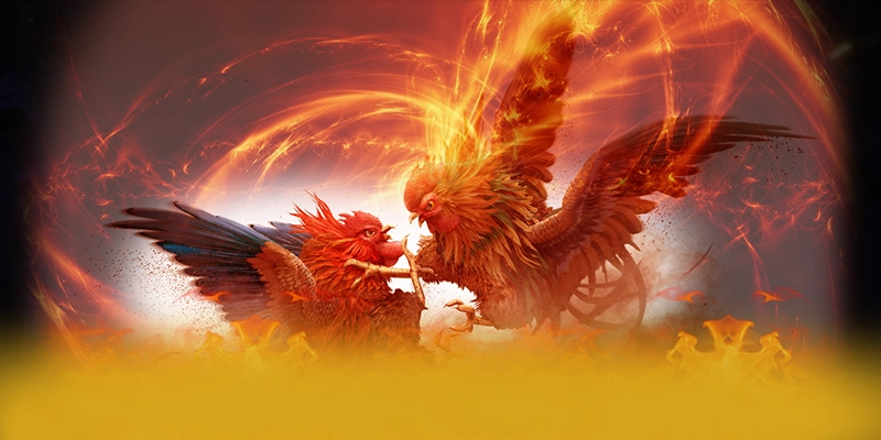 Tim hieu BET365 - San choi duoc tin dung tai Viet Nam Tim hieu BET365 - San choi duoc tin dung tai Viet Nam