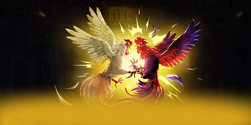 BET365 - Tong ket voi goc nhin khach quan. BET365 - Tong ket voi goc nhin khach quan.