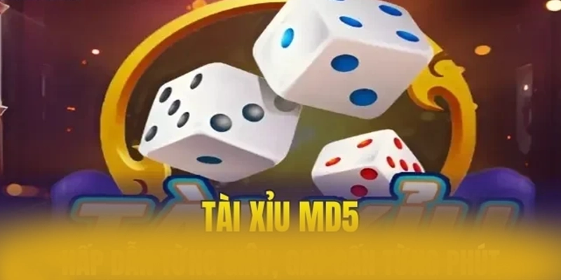 Đánh giá toàn diện 8xbet - Nhà cái trực tuyến chất lượng cao trên thị trường
