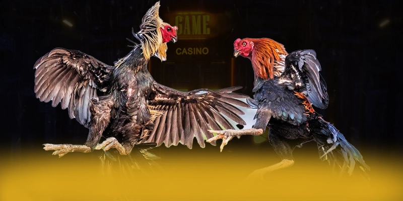 8XBET - Nền tảng cá cược có giấy phép quốc tế an toàn nhất 8XBET - Nền tảng cá cược có giấy phép quốc tế an toàn nhất