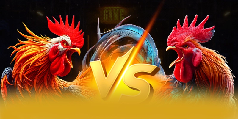 vabet - Kết luận — Nền tảng cá cược hàng đầu xứng đáng thử nghiệm vabet - Kết luận — Nền tảng cá cược hàng đầu xứng đáng thử nghiệm