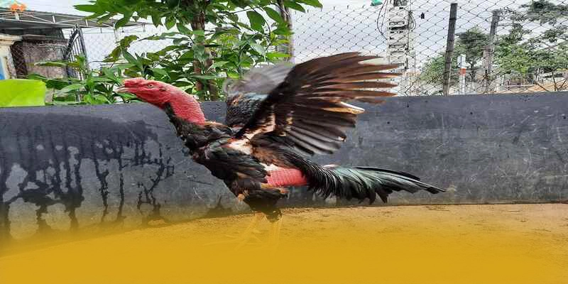 8XBET - Hệ thống nạp - rút tiền nhanh chóng 8XBET - Hệ thống nạp - rút tiền nhanh chóng